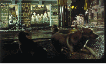 Ilja Krzsanovszkij: 4