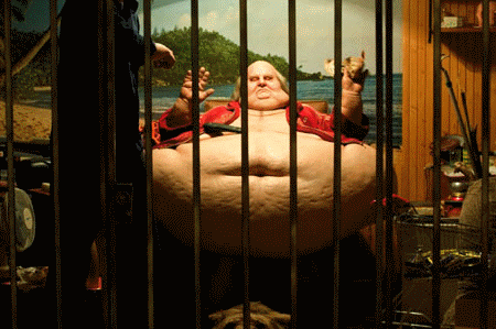 Pálfi Gyorgy: Taxidermia